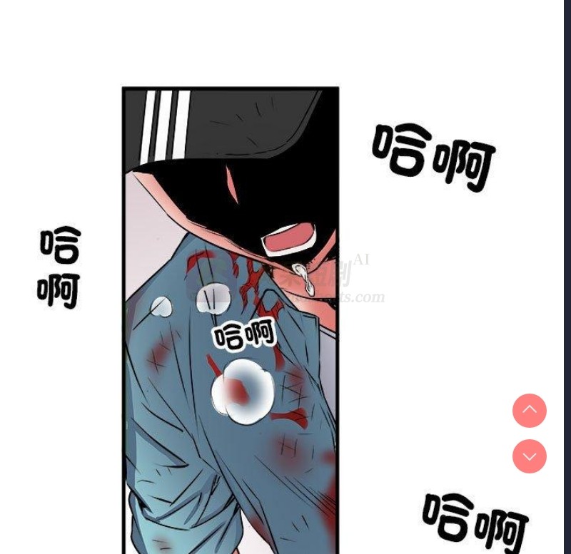 第 6 张