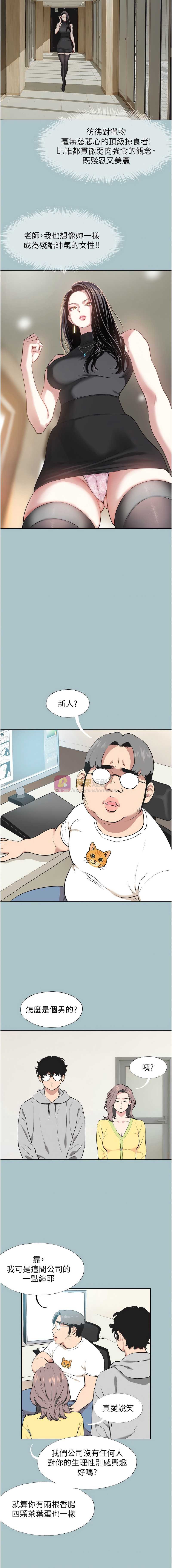 第 6 张