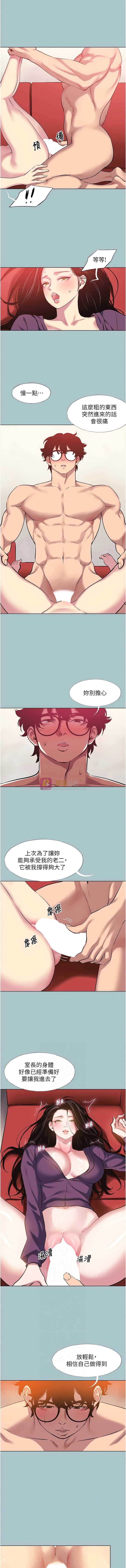 第 6 张