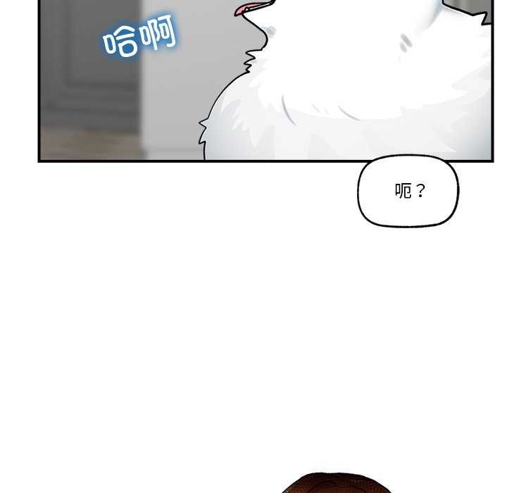第 10 张