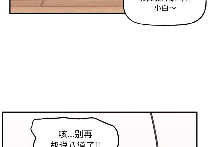 第 4 张