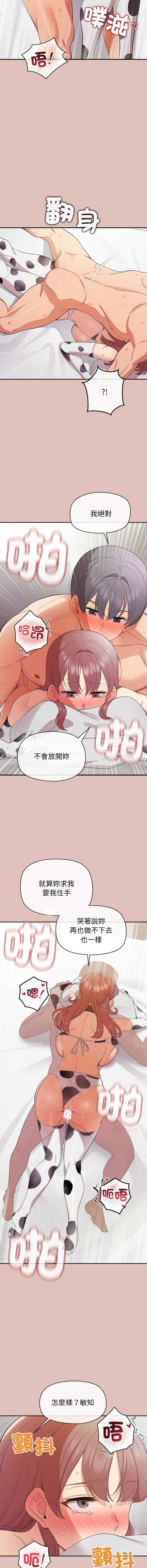 第 6 张