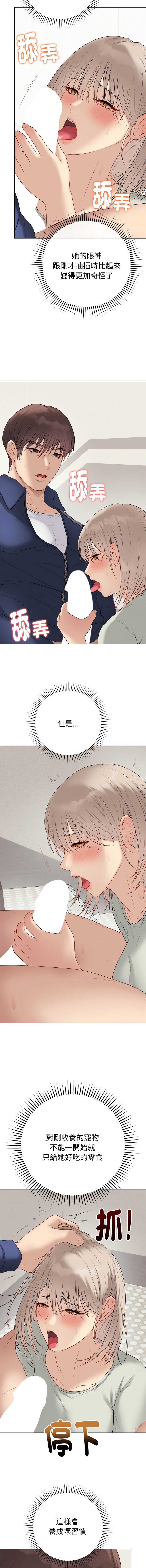 第 4 张