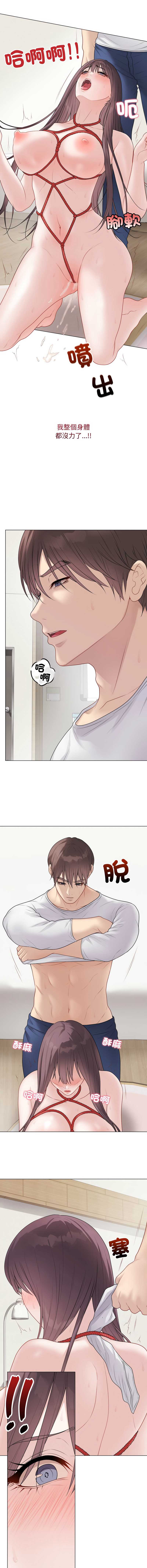 第 12 张