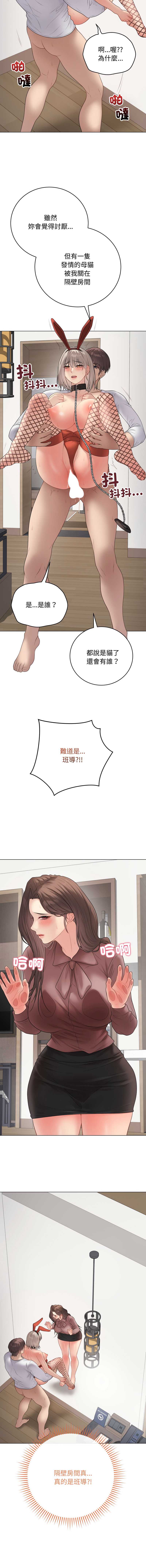第 8 张