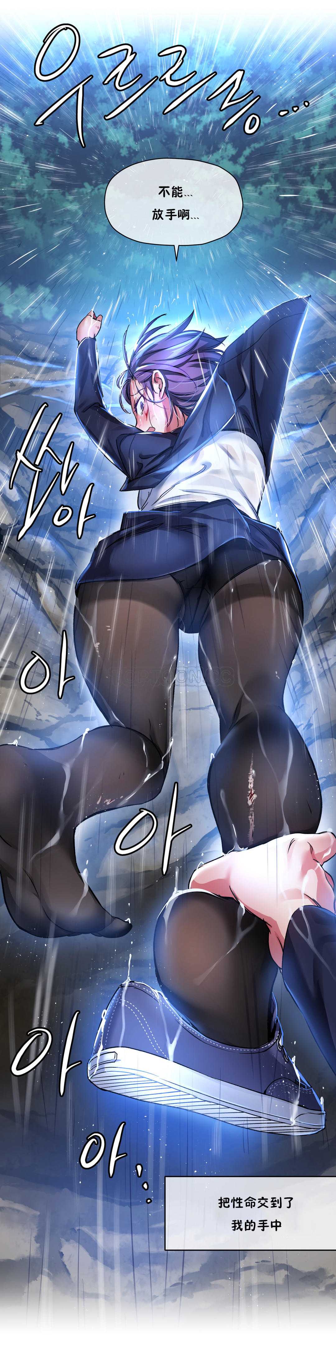 第 3 张