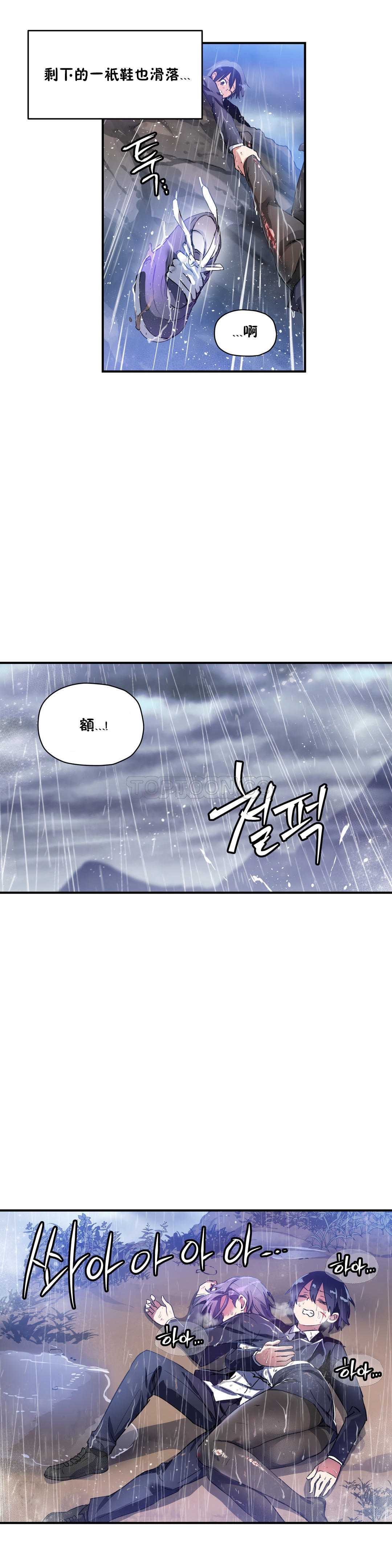 第 5 张