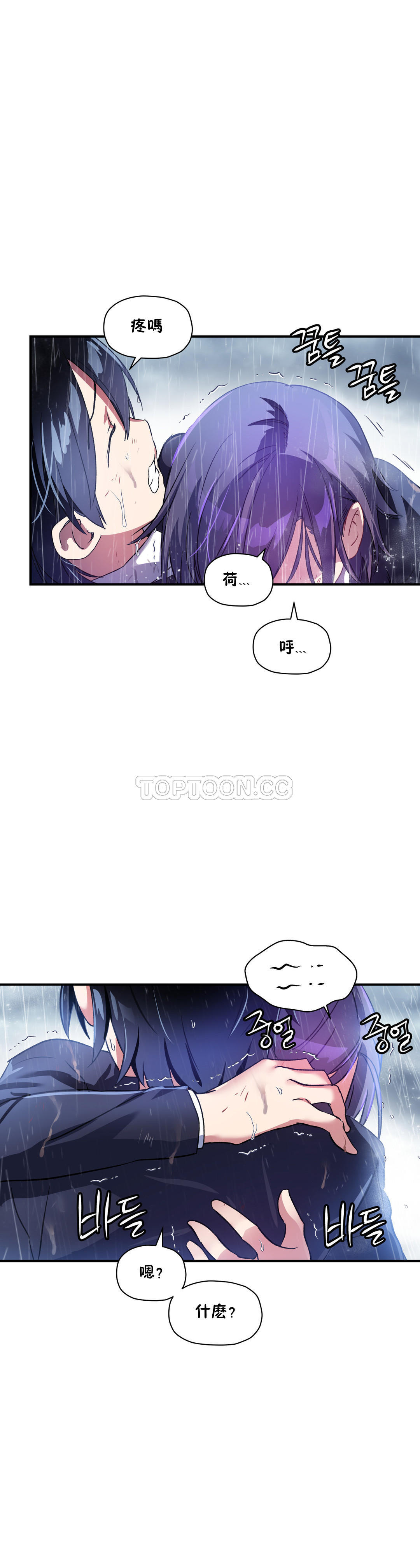 第 6 张