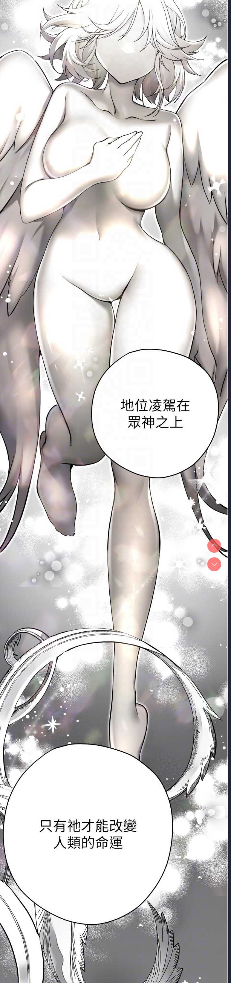 第 10 张