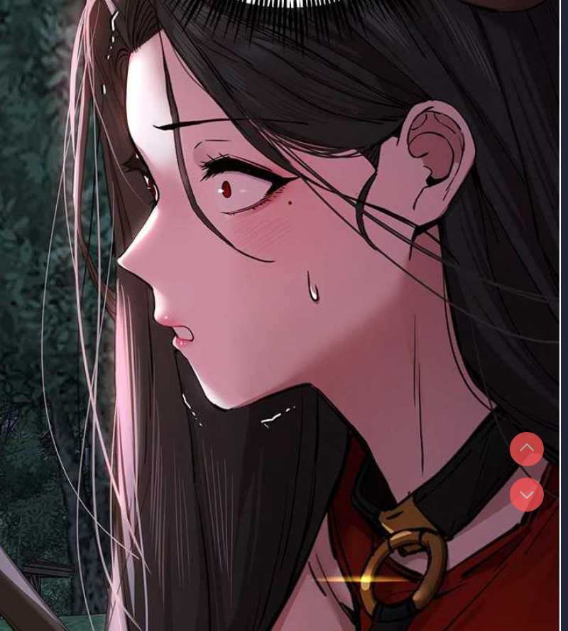 第 11 张