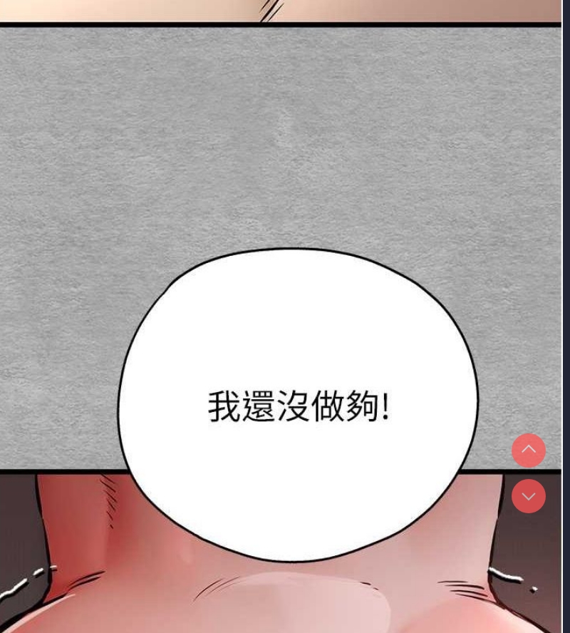 第 8 张