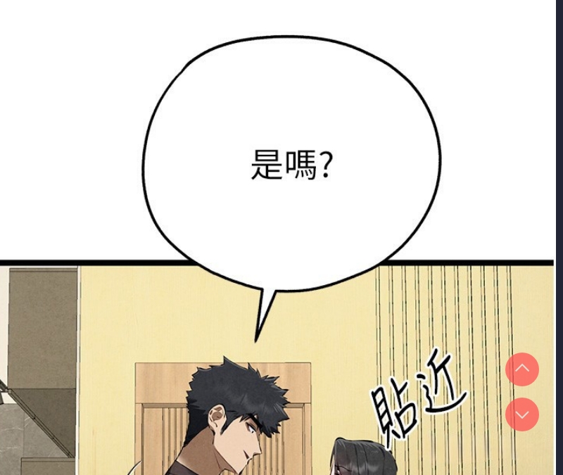 第 4 张