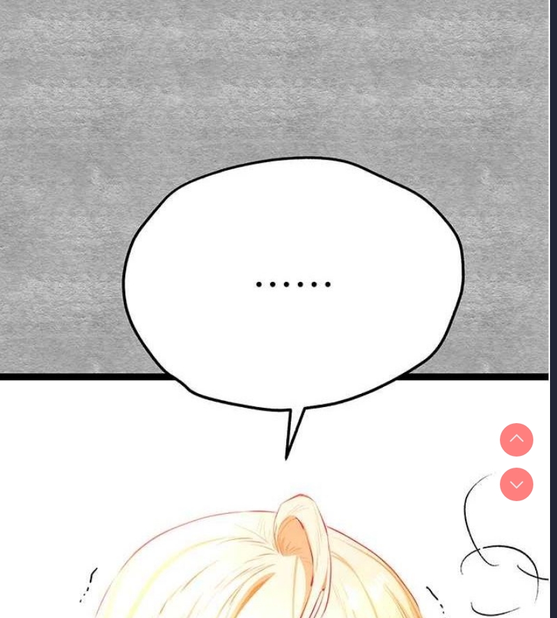 第 5 张