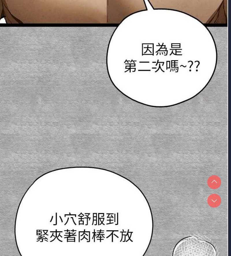 第 3 张