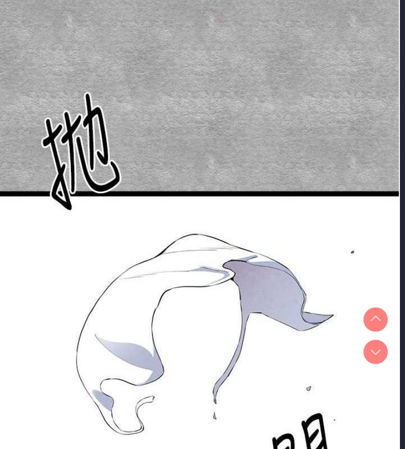 第 11 张
