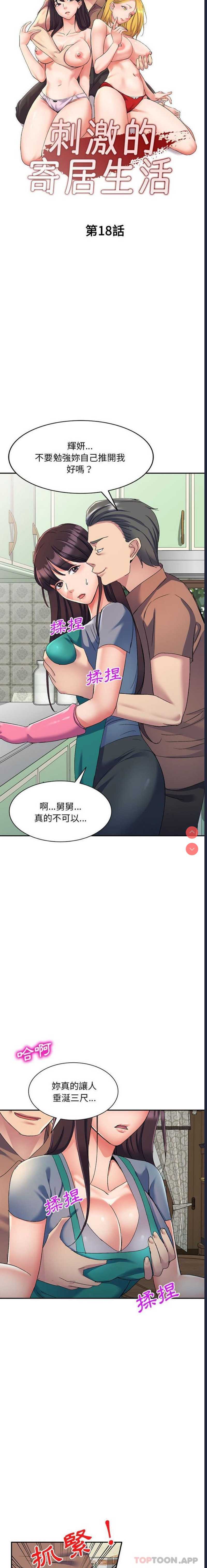 第 3 张