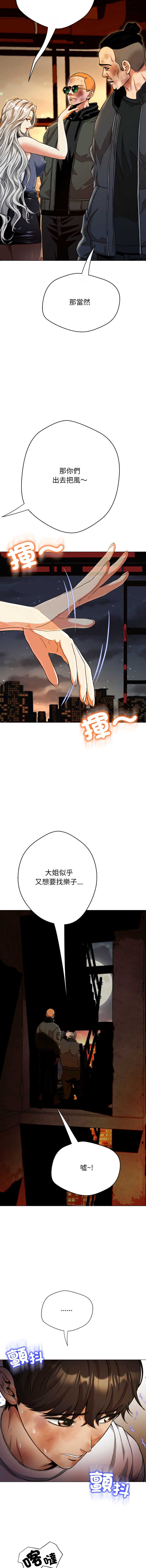 第 11 张
