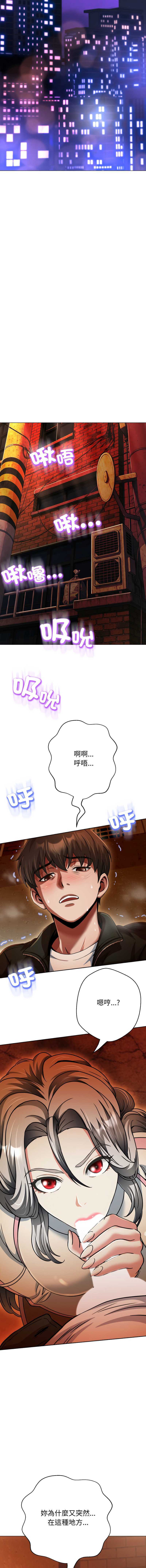 第 12 张