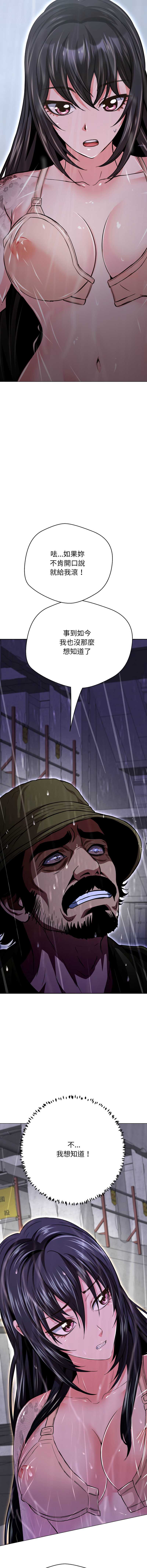 第 11 张