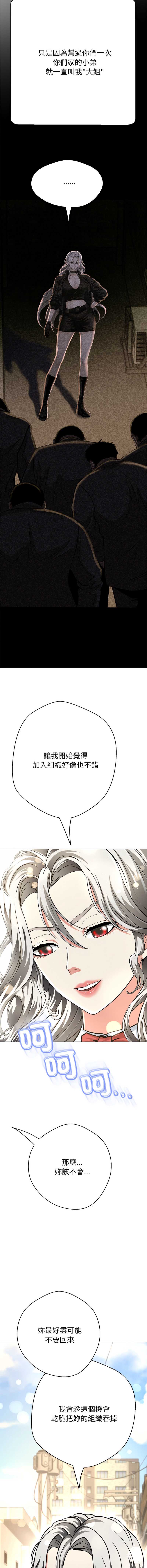 第 5 张