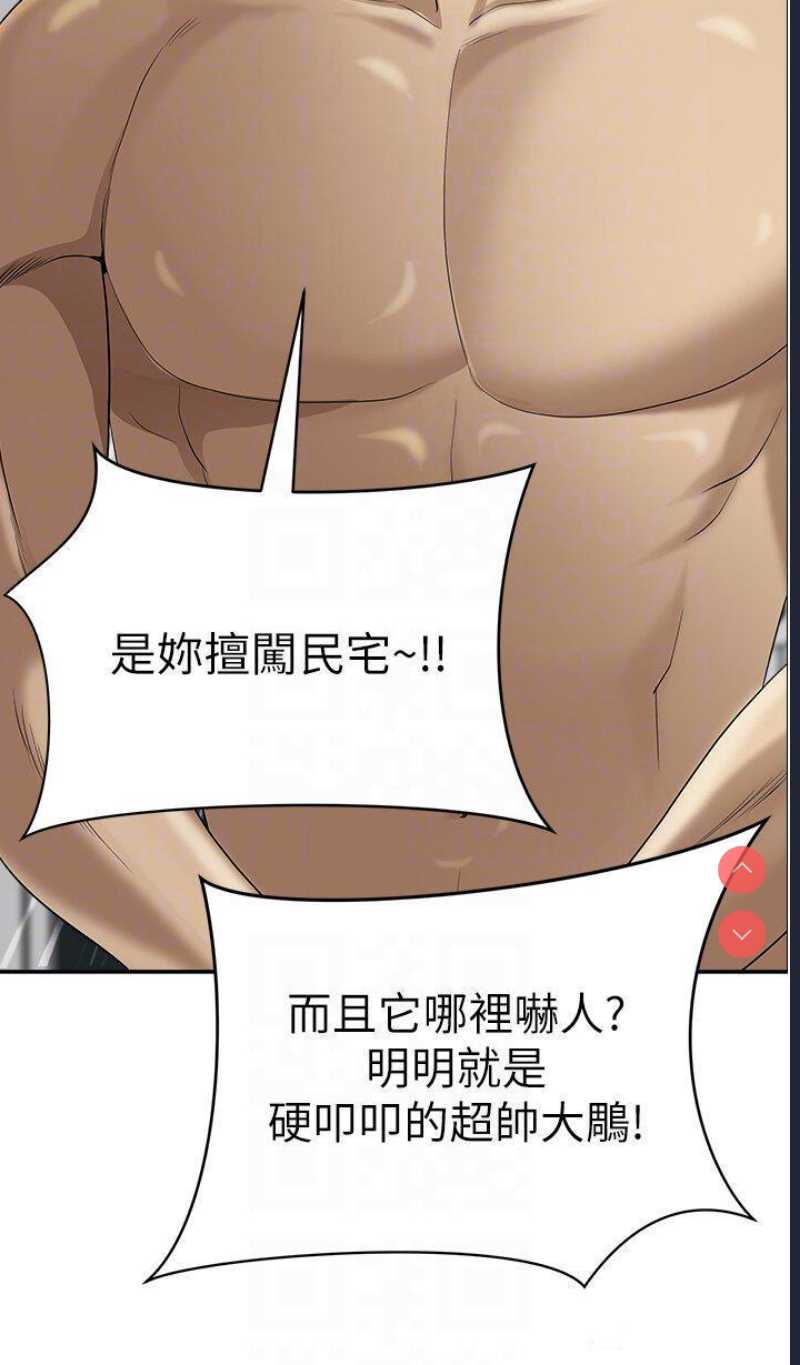 第 10 张