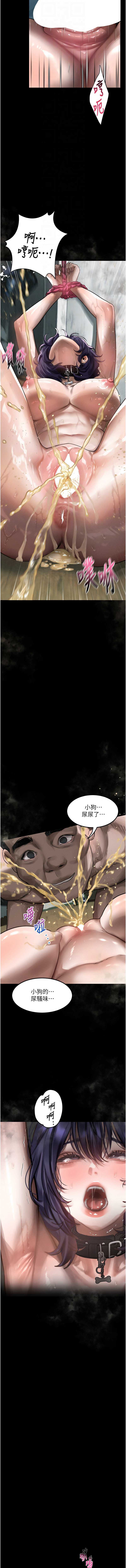 第 12 张