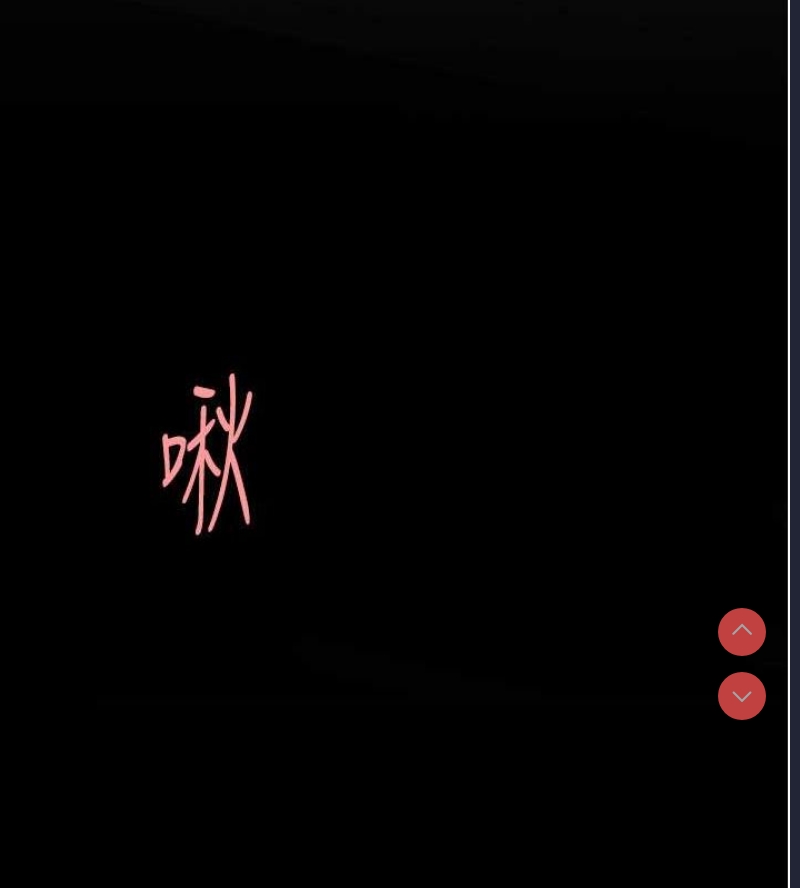 第 9 张