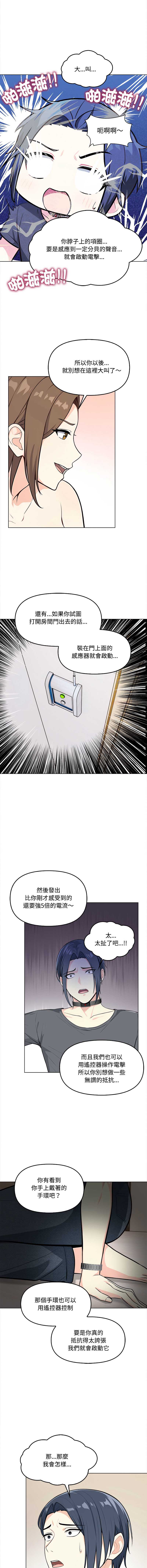 第 3 张