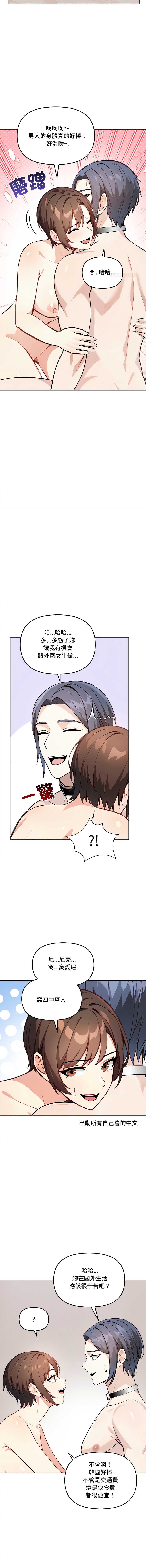 第 12 张