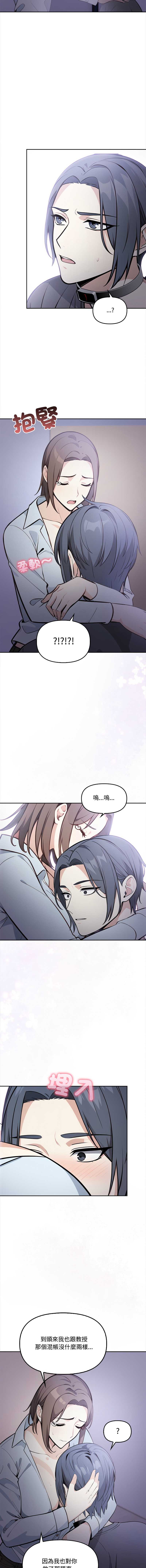 第 3 张