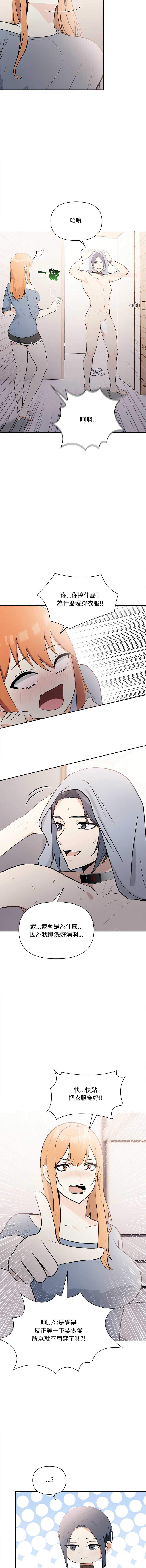 第 3 张
