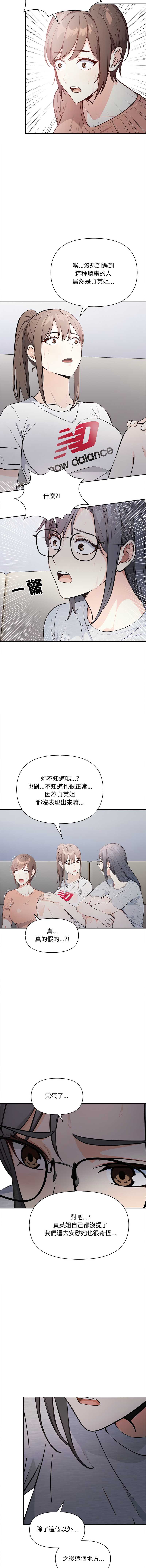 第 3 张