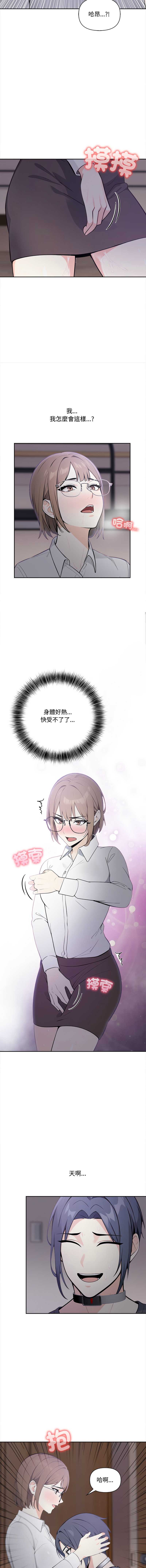 第 11 张