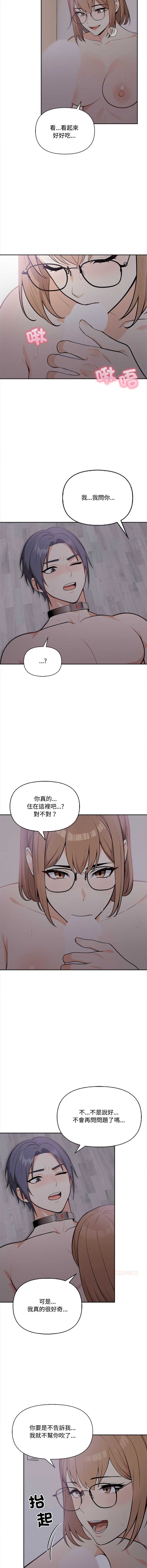 第 7 张