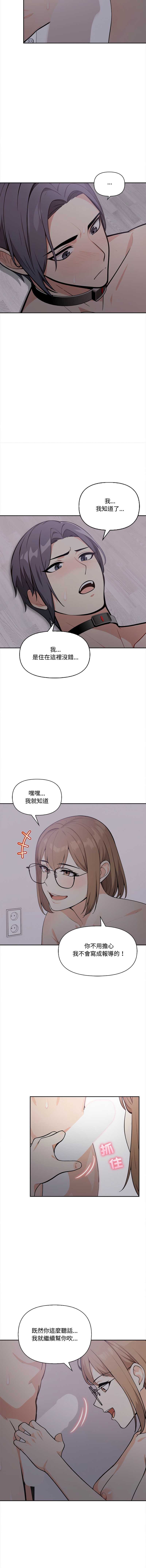 第 8 张