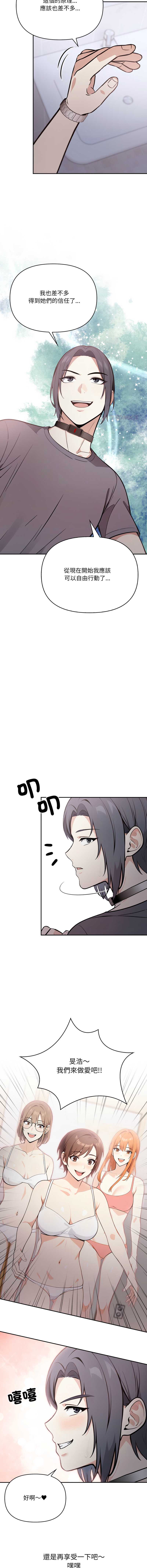 第 6 张