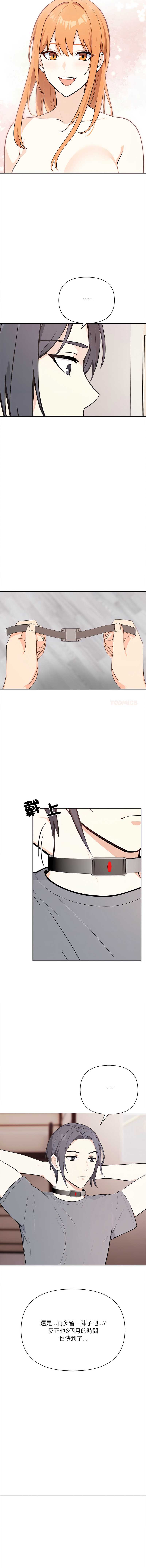 第 4 张
