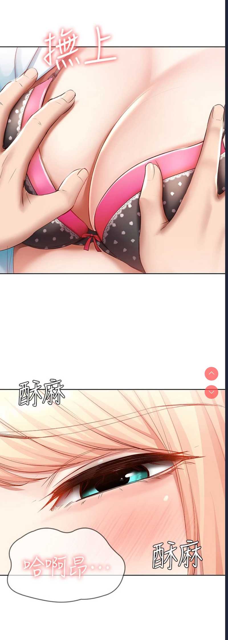 第 3 张