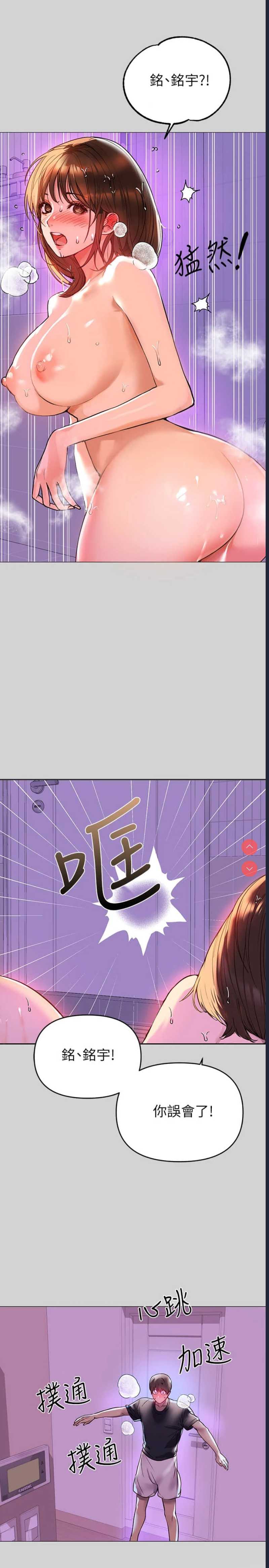 第 3 张