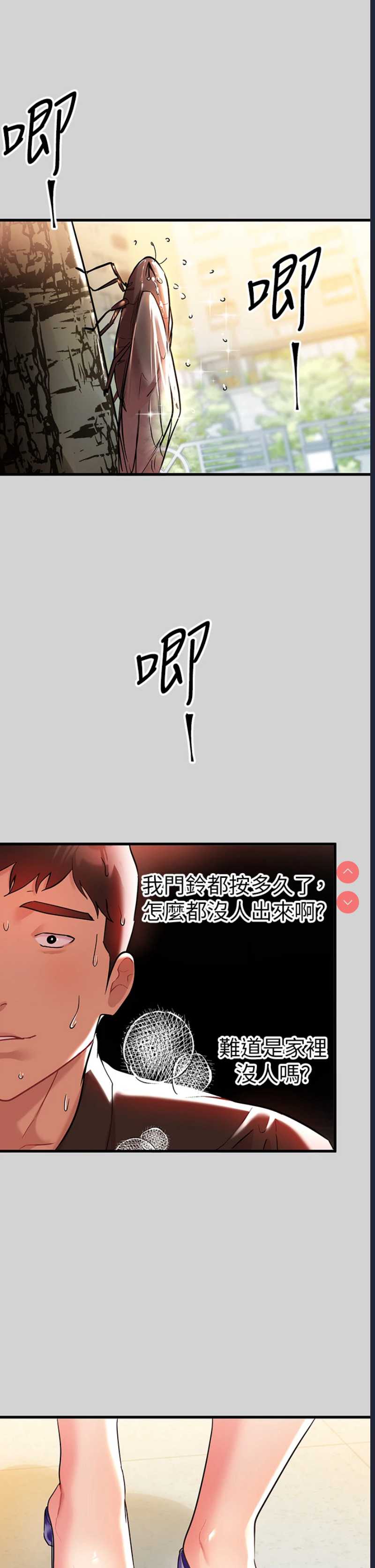第 5 张