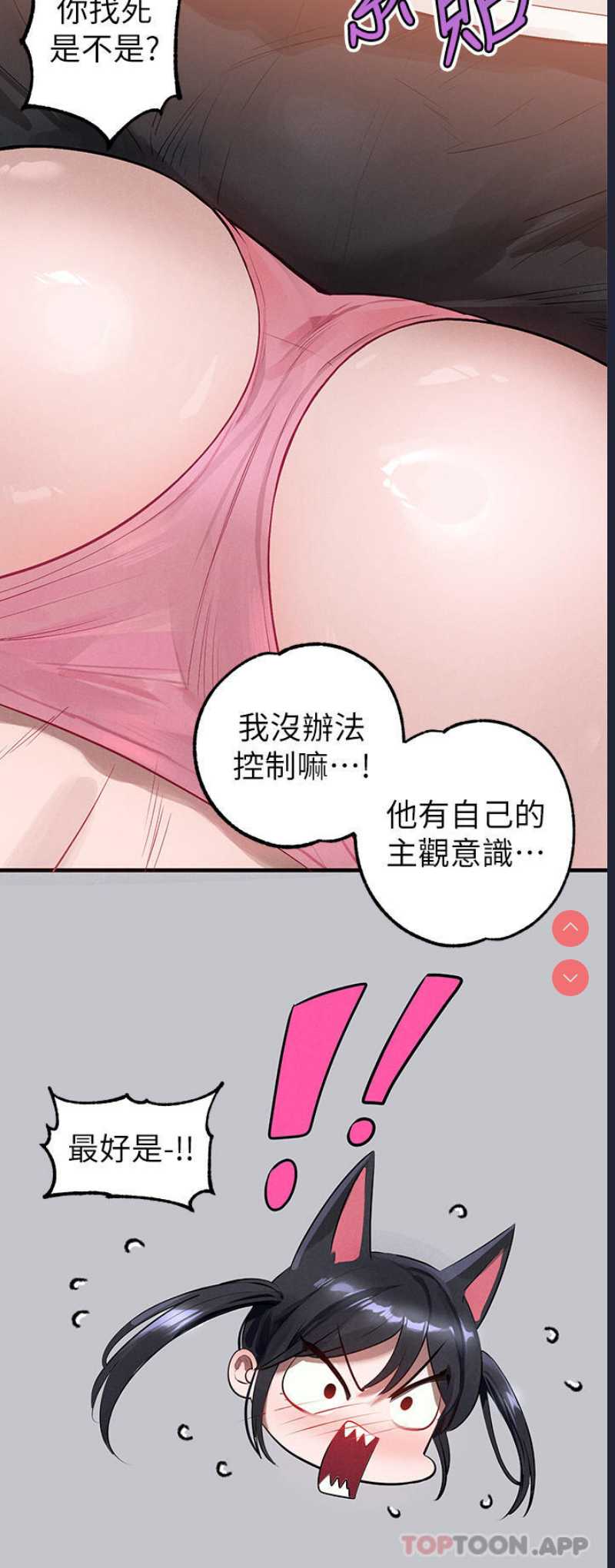第 7 张
