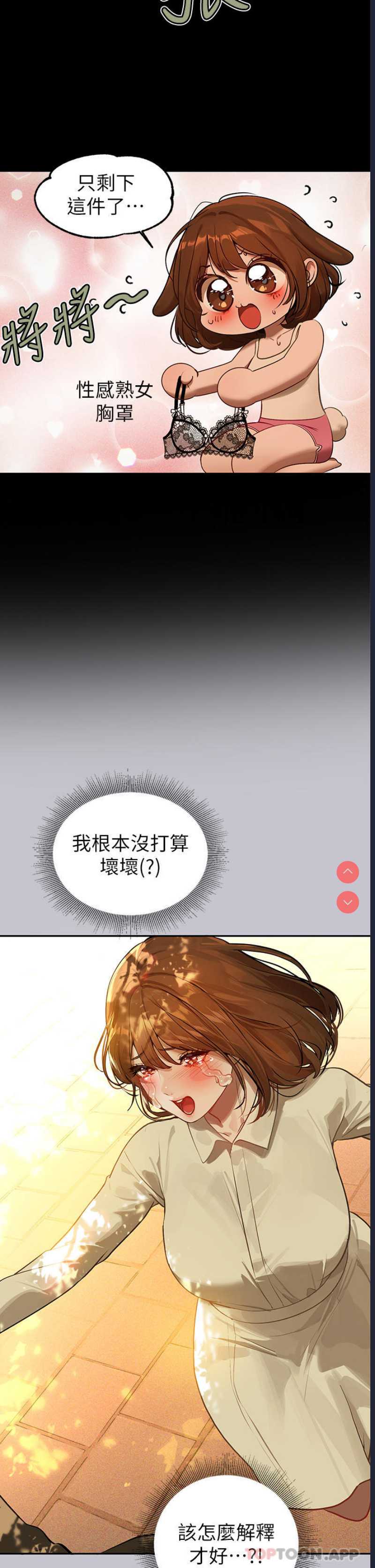 第 4 张