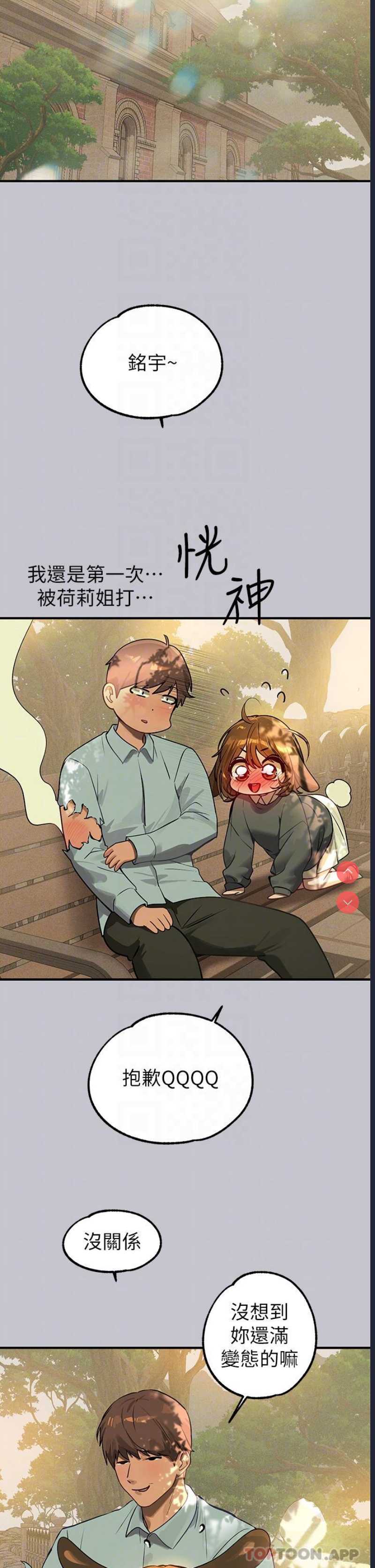 第 12 张