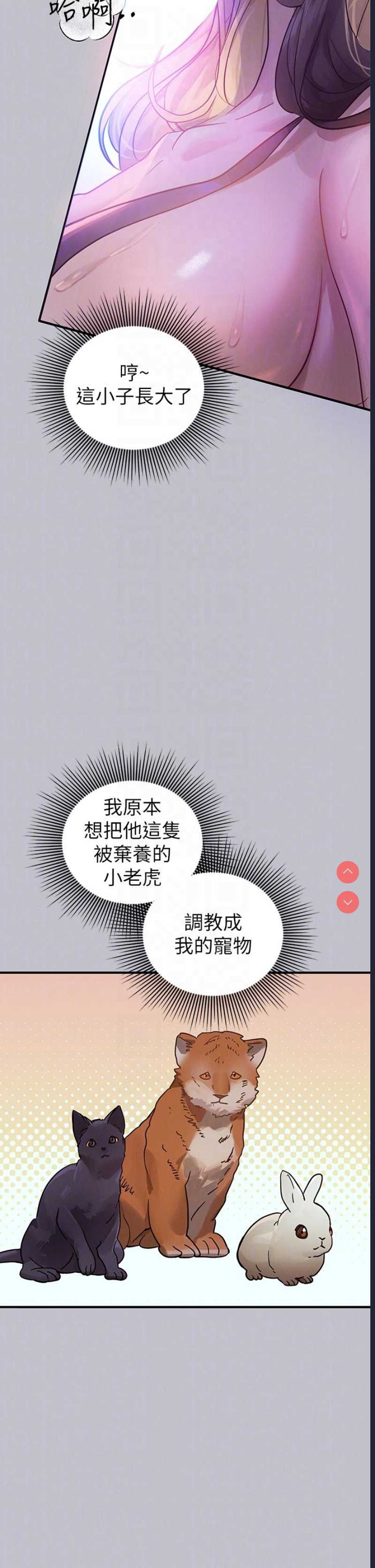 第 10 张