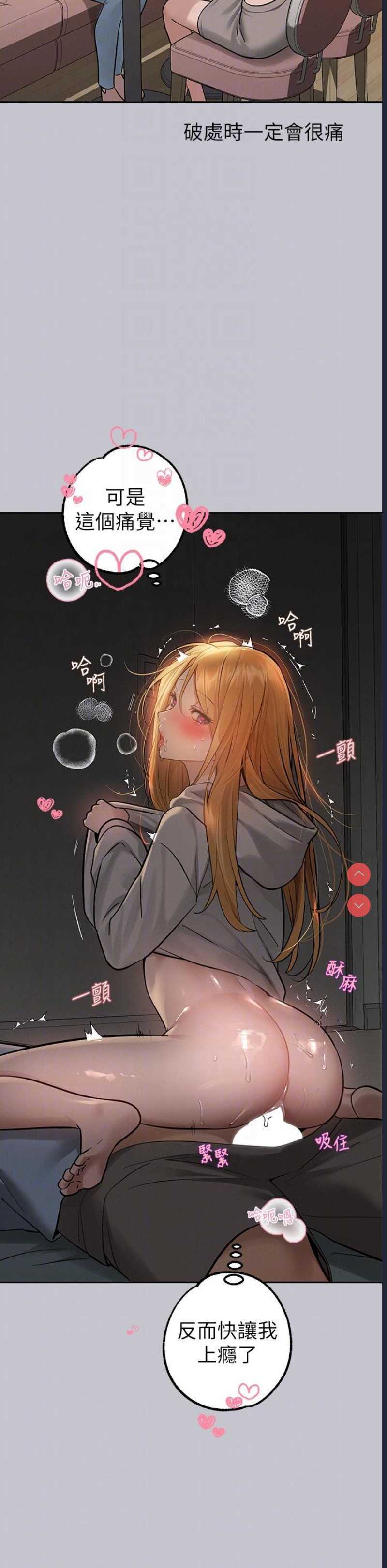 第 6 张