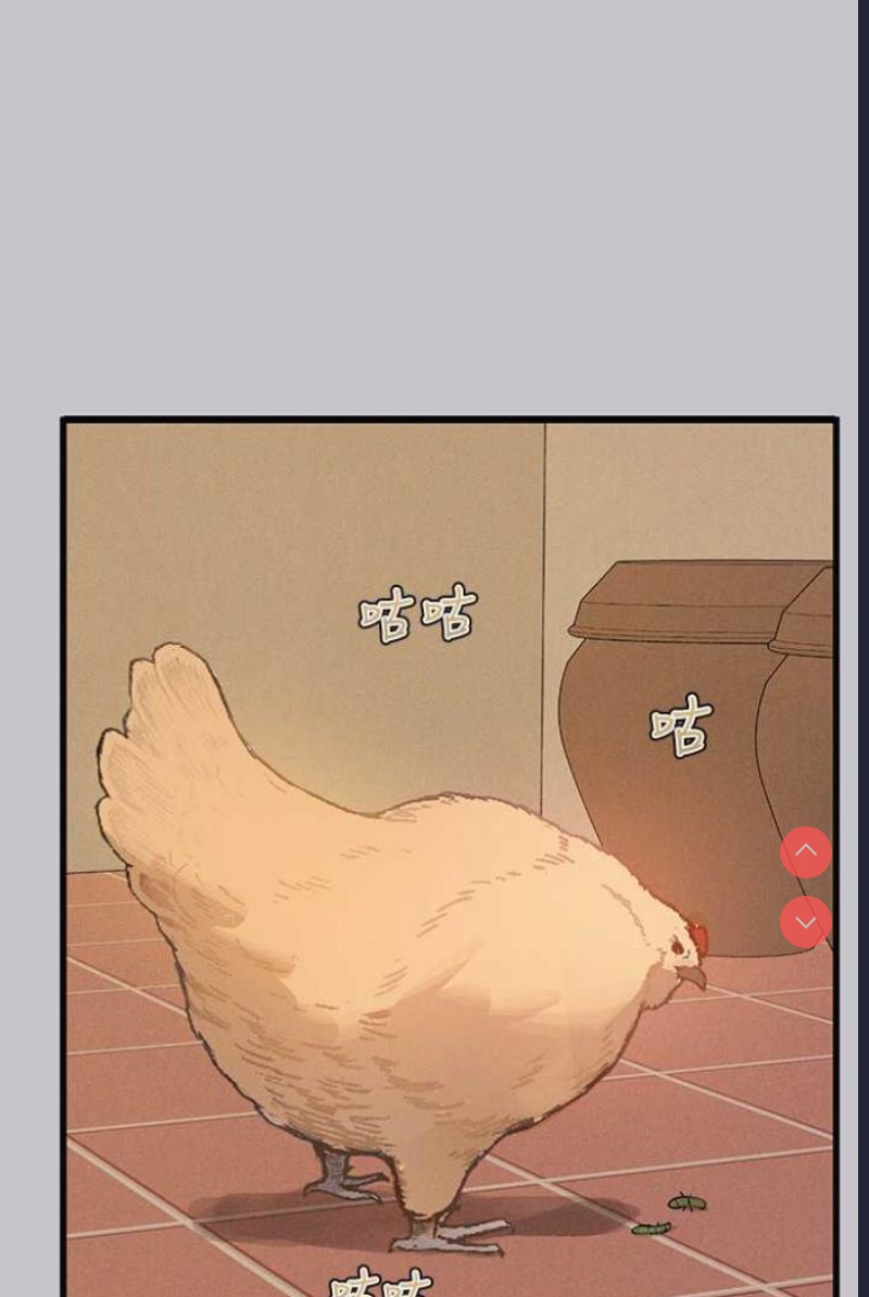 第 3 张
