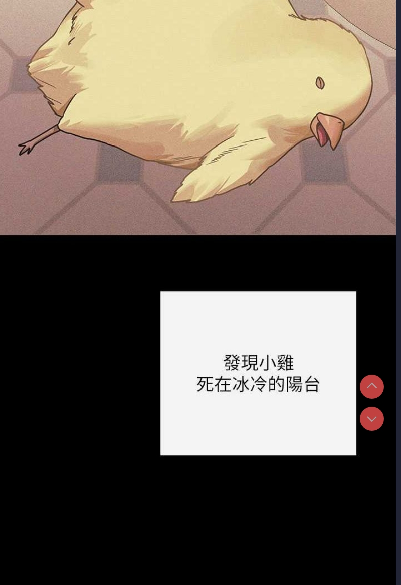 第 3 张