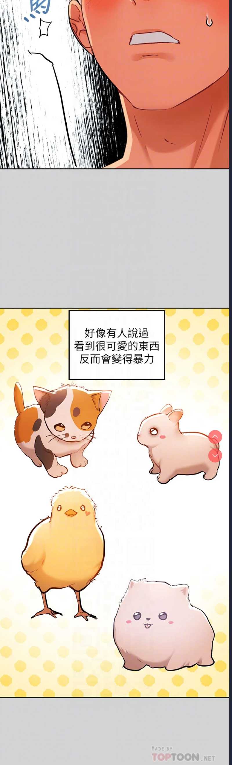 第 4 张
