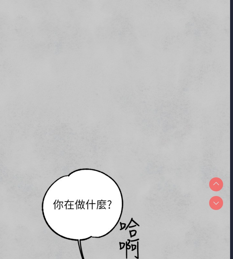 第 11 张