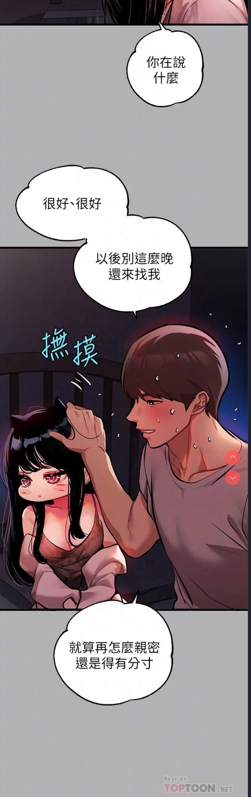 第 8 张